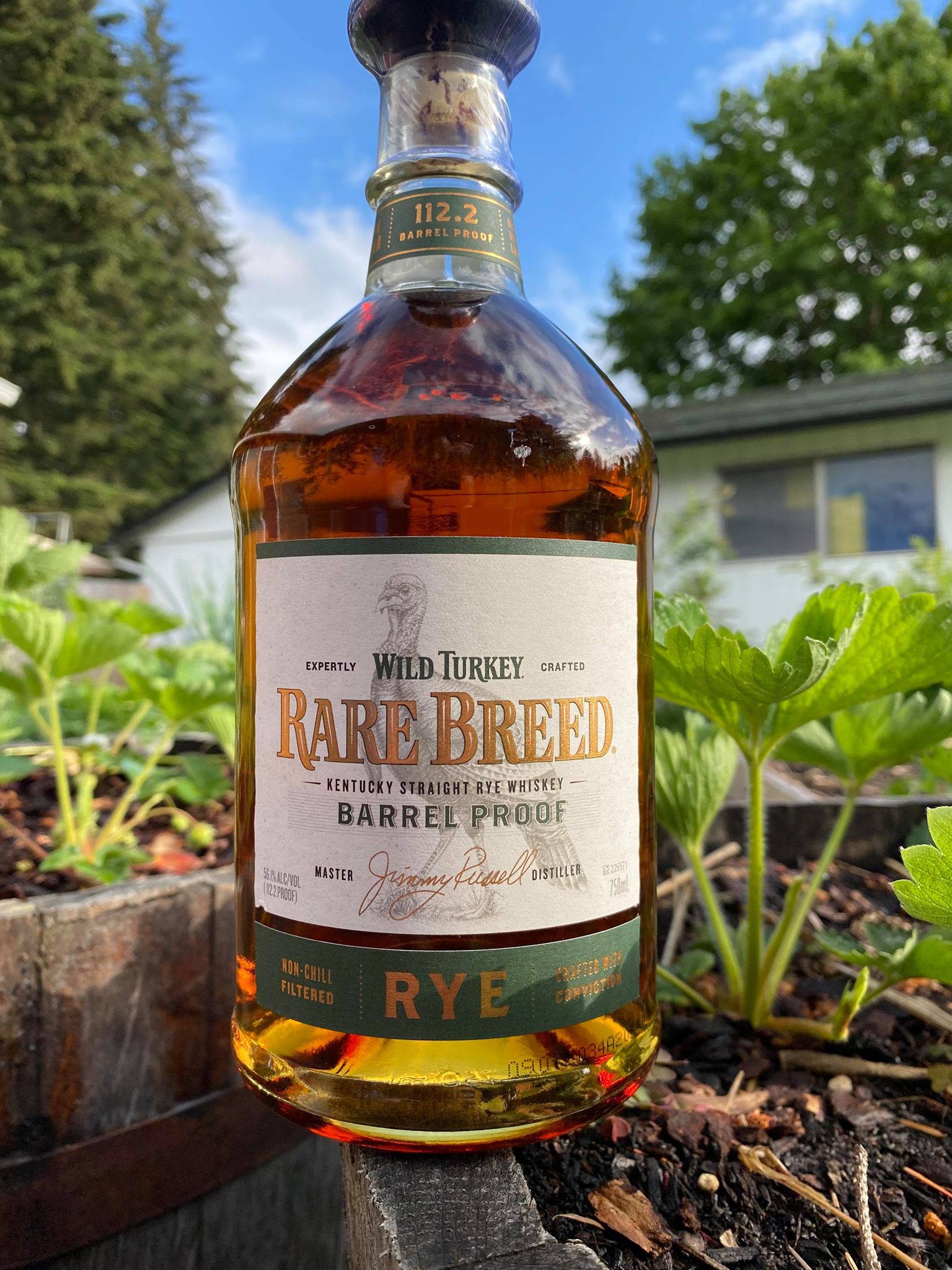 Wild Turkey Rare Breed Rye Has Officially Landed